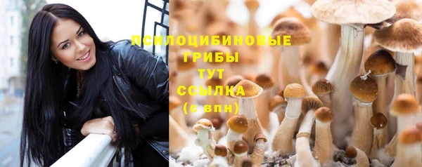стаф Горно-Алтайск