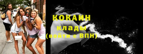 твердый Горняк