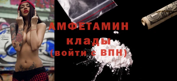 твердый Горняк