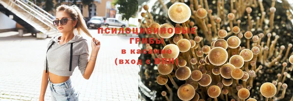 стаф Горно-Алтайск