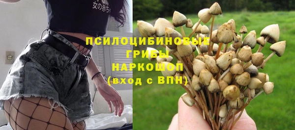 стаф Горно-Алтайск