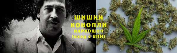 стаф Горно-Алтайск
